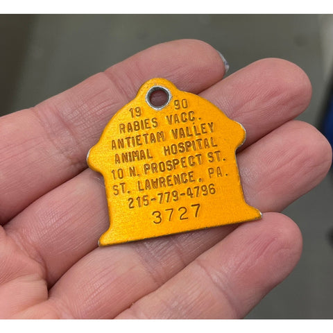 T10: 1990 rabies vaccination tag