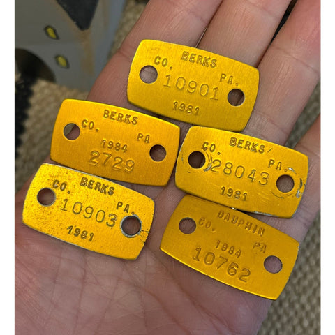 T24. 5 aluminum dog tags from 1981 & 1984