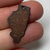 Mini Rusty Metal Illinois Charm